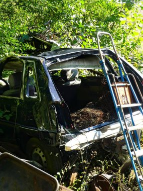 Ardennes kırsalında yasadışı açık çöplük