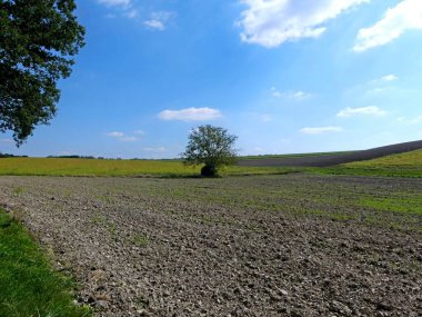Fransa 'daki Argonne ormanında yürüyüş.