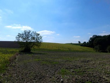 Fransa 'daki Argonne ormanında yürüyüş.