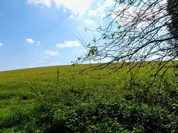 Fransa 'daki Argonne ormanında yürüyüş.