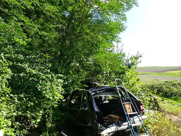 Ardennes kırsalında yasadışı açık çöplük