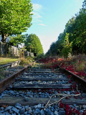 Tren yolu, demiryolu çevresi ve terk edilmiş eski köprü doğaya geri döndü.