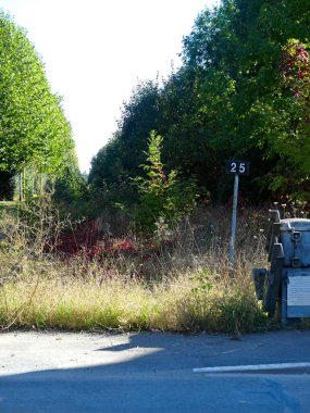 Tren yolu, demiryolu çevresi ve terk edilmiş eski köprü doğaya geri döndü.