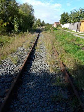 Tren yolu, demiryolu çevresi ve terk edilmiş eski köprü doğaya geri döndü.