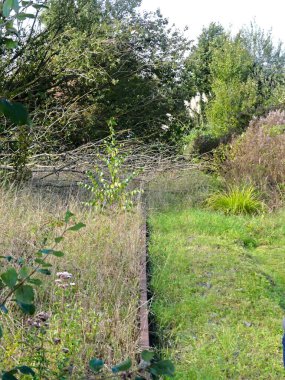Tren yolu, demiryolu çevresi ve terk edilmiş eski köprü doğaya geri döndü.