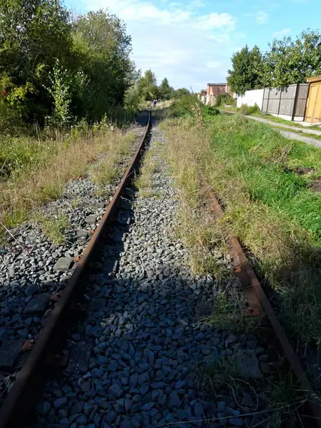 Tren yolu, demiryolu çevresi ve terk edilmiş eski köprü doğaya geri döndü.