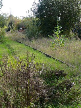 Tren yolu, demiryolu çevresi ve terk edilmiş eski köprü doğaya geri döndü.