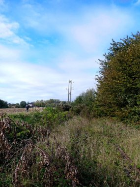 Tren yolu, demiryolu çevresi ve terk edilmiş eski köprü doğaya geri döndü.