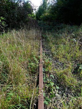 Tren yolu, demiryolu çevresi ve terk edilmiş eski köprü doğaya geri döndü.