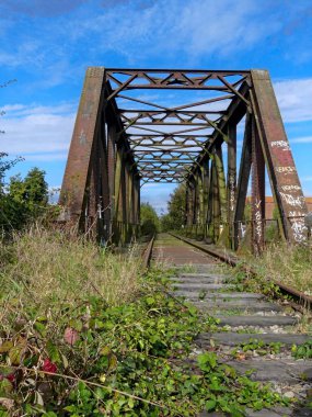 Tren yolu, demiryolu çevresi ve terk edilmiş eski köprü doğaya geri döndü.