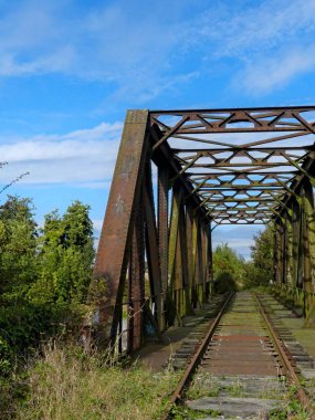 Tren yolu, demiryolu çevresi ve terk edilmiş eski köprü doğaya geri döndü.