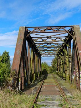 Tren yolu, demiryolu çevresi ve terk edilmiş eski köprü doğaya geri döndü.