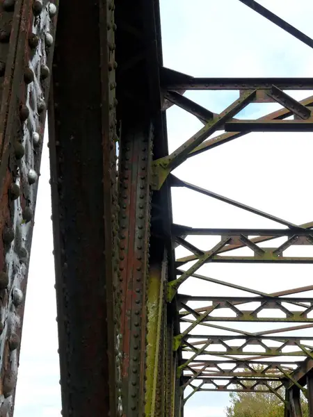 Tren yolu, demiryolu çevresi ve terk edilmiş eski köprü doğaya geri döndü.