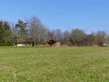 La Neuville Au Pont, Mart 2025: Ağaçlar ve doğa ile çevrili Argonne ve Ardennes ormanlarında yürüyüş