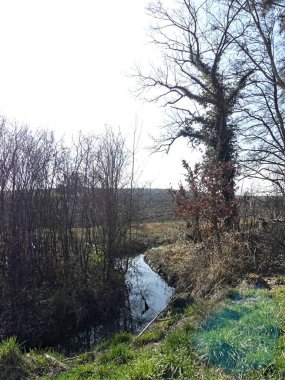 La Neuville Au Pont, Mart 2025: Ağaçlar ve doğa ile çevrili Argonne ve Ardennes ormanlarında yürüyüş