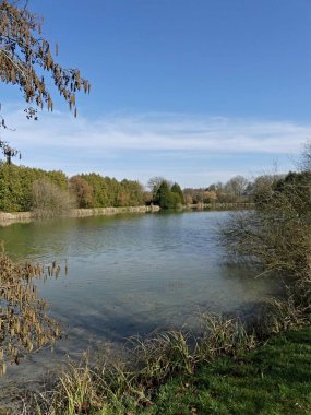 La Neuville Au Pont, Mart 2025: Ağaçlar ve doğa ile çevrili Argonne ve Ardennes ormanlarında yürüyüş