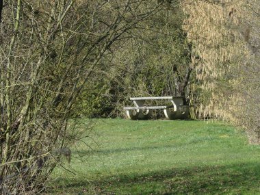 La Neuville Au Pont, Mart 2025: Ağaçlar ve doğa ile çevrili Argonne ve Ardennes ormanlarında yürüyüş