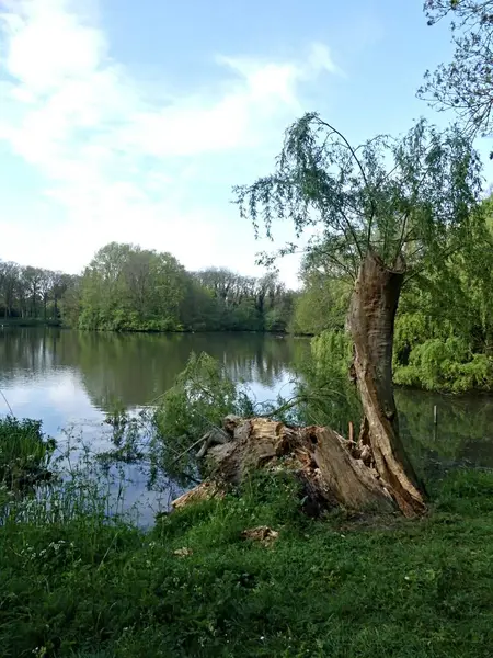 Ypres (biber), Nisan 2025: Belçika 'nın görkemli Ypres kasabasını ziyaret edin