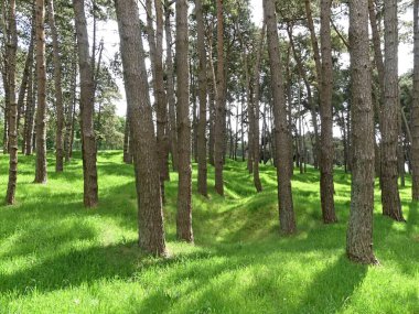 Vimy, Mayıs 2025: Kanada 'nın 1. Dünya Savaşı anıtı 145 numaralı tepeyi ziyaret edin - 1.