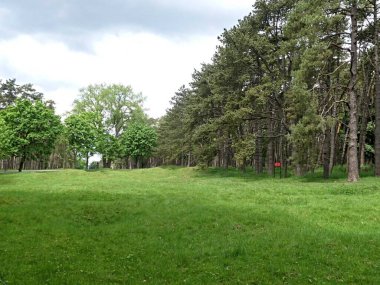 Vimy, Mayıs 2025: Kanada 'nın 1. Dünya Savaşı anıtı 145 numaralı tepeyi ziyaret edin - 1.