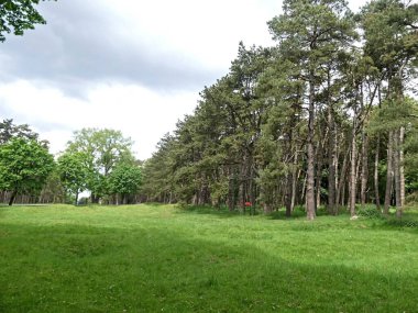 Vimy, Mayıs 2025: Kanada 'nın 1. Dünya Savaşı anıtı 145 numaralı tepeyi ziyaret edin - 1.