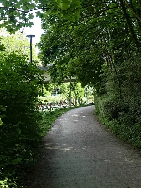 Lille, Mayıs 2025: Fransa 'nın güzel Lille şehrini ziyaret edin Flaman tarzı evlerin muhteşem cephelerini görün.