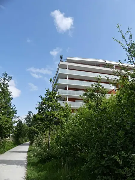 Lille, Mayıs 2025: Fransa 'nın güzel Lille şehrini ziyaret edin Flaman tarzı evlerin muhteşem cephelerini görün.