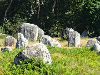 Carnac, Ağustos 2025: Dünyanın en büyük megalitik kompleksini ziyaret edin - Menhir hizalamalarının görünümü