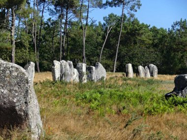 Carnac, Ağustos 2025: Dünyanın en büyük megalitik kompleksini ziyaret edin - Menhir hizalamalarının görünümü