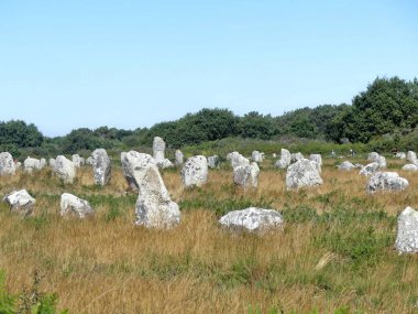Carnac, Ağustos 2025: Dünyanın en büyük megalitik kompleksini ziyaret edin - Menhir hizalamalarının görünümü
