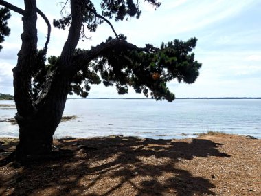 Ile-aux-Moines, Ağustos 2025: Brittany 'deki Morbihan Körfezi' nde Ile-aux-Moines civarında yürüyüş