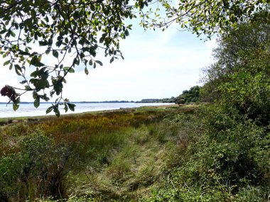 Ile-aux-Moines, Ağustos 2025: Brittany 'deki Morbihan Körfezi' nde Ile-aux-Moines civarında yürüyüş