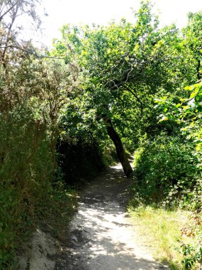 Ile-aux-Moines, Ağustos 2025: Brittany 'deki Morbihan Körfezi' nde Ile-aux-Moines civarında yürüyüş