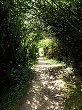 Ile-aux-Moines, Ağustos 2025: Brittany 'deki Morbihan Körfezi' nde Ile-aux-Moines civarında yürüyüş