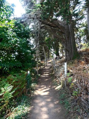 Ile-aux-Moines, Ağustos 2025: Brittany 'deki Morbihan Körfezi' nde Ile-aux-Moines civarında yürüyüş