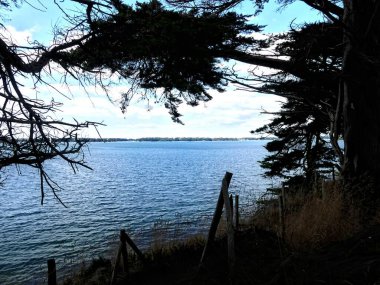 Ile-aux-Moines, Ağustos 2025: Brittany 'deki Morbihan Körfezi' nde Ile-aux-Moines civarında yürüyüş