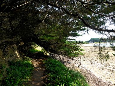 Ile-d 'Arz, Ağustos 2025: Britanya' nın Morbihan Körfezi 'nde Ile-d' Arz çevresinde yürüyüş - küçük kasabanın manzarası