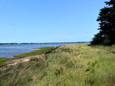 Ile-d 'Arz, Ağustos 2025: Britanya' nın Morbihan Körfezi 'nde Ile-d' Arz çevresinde yürüyüş - küçük kasabanın manzarası