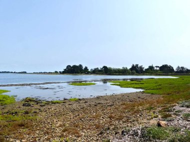 Ile-d 'Arz, Ağustos 2025: Britanya' nın Morbihan Körfezi 'nde Ile-d' Arz çevresinde yürüyüş - küçük kasabanın manzarası