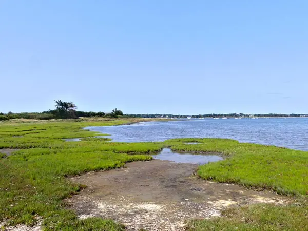 Ile-d 'Arz, Ağustos 2025: Britanya' nın Morbihan Körfezi 'nde Ile-d' Arz çevresinde yürüyüş - küçük kasabanın manzarası