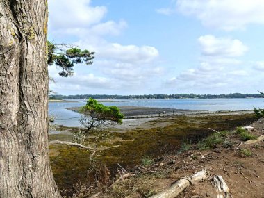 Ile-d 'Arz, Ağustos 2025: Britanya' nın Morbihan Körfezi 'nde Ile-d' Arz çevresinde yürüyüş - küçük kasabanın manzarası
