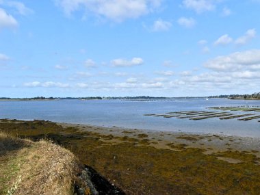 Ile-d 'Arz, Ağustos 2025: Britanya' nın Morbihan Körfezi 'nde Ile-d' Arz çevresinde yürüyüş - küçük kasabanın manzarası