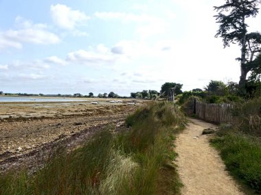 Ile-d 'Arz, Ağustos 2025: Britanya' nın Morbihan Körfezi 'nde Ile-d' Arz çevresinde yürüyüş - küçük kasabanın manzarası