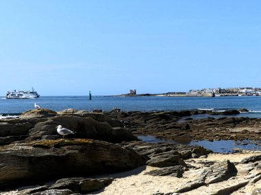 Quiberon, Ağustos 2025: Britanya 'nın Morbihan Körfezi' nde Quiberon yarımadasında yürüyüş