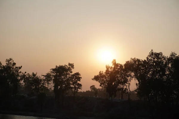 Goldener Sonnenuntergang Über Dem Baum — Stockfoto
