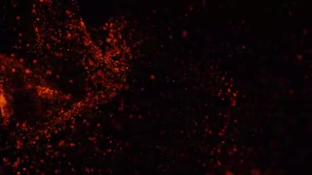Embers Vuren Deeltjes Zwarte Achtergrond Vuur Vonken Achtergrond — Stockvideo