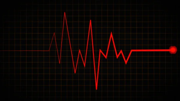 Diagram Över Hjärtfrekvens Hjärtslag Ekg Vågikonen Röd Nyans Vågform Ljud — Stockfoto