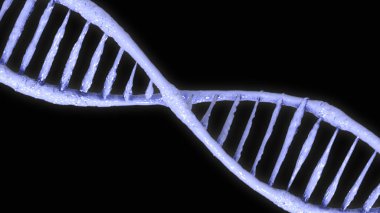 DNA molekülleri, DNA gen sarmal molekül yapısı