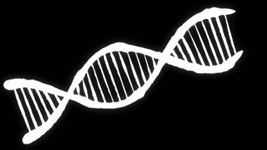 Sarmal üzerindeki beyaz DNA iplikleri. Çift sarmallı insan DNA yapısı. Gen deoksiribonükleik asit, DNA molekülleri, Vektör illüstrasyonu