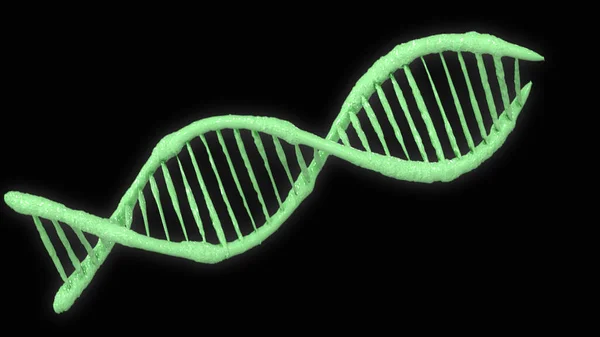 Bright Double Helix Human Dna Structure Dna Strand Dna Molecules — Stock Photo, Image